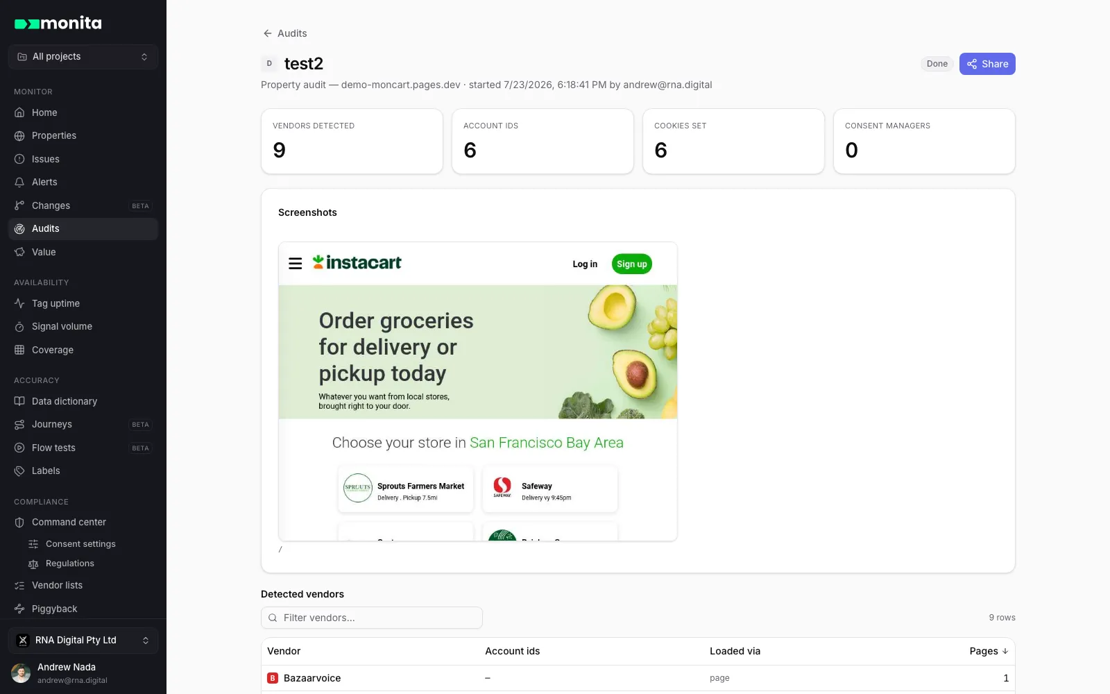 A finished audit report — vendors detected, account IDs, cookies and screenshots